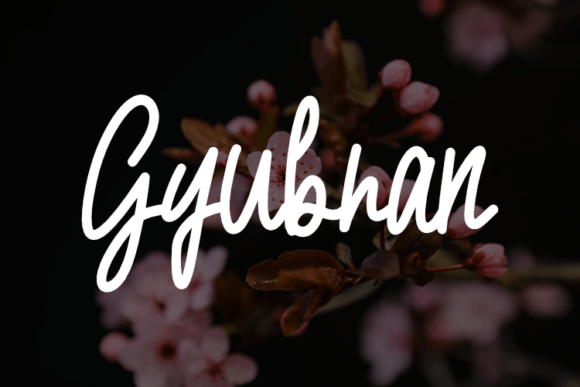 Gyubran Font for Creative Campaigns