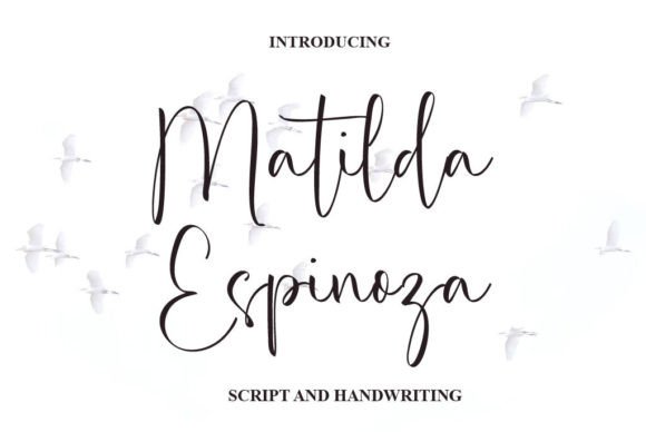 Matilda Espinoza Font for Elegant Branding